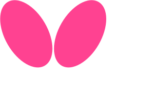 Butterfly Table Tennis